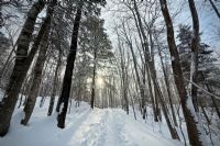 Ouverture hivernale des sentiers du Parc Harold F. Baldwin à Coaticook
